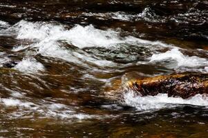 Weiß Fluss Wasser Stromschnellen fließend Über Felsen foto