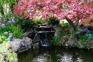 groß künstlich hergestellt Teich mit Schritt Wasserfall und Pflanzen foto
