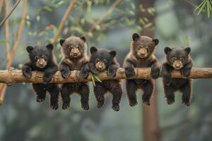 ai generiert Bär Baby Gruppe von Tiere hängend aus auf ein Zweig, Niedlich, lächelnd, bezaubernd foto