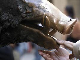 Detail von Hand berühren gut Glück Kupfer Schwein Statue im Florenz Ritus von Vermögen Sie haben zu reiben ein Münze auf das Nase von wild Eber und dann fallen es in das Mannloch Startseite von das Porzellan Brunnen foto
