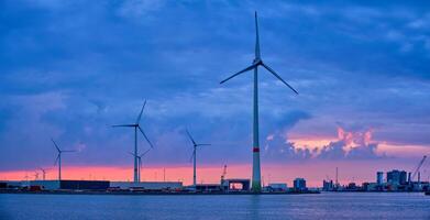 Wind Turbinen im Antwerpen Hafen im das Abend foto