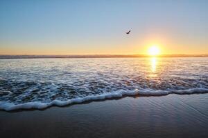 Möwen auf Strand atlantisch Ozean Sonnenuntergang mit wogend Wellen beim fonte da telha Strand, Portugal foto