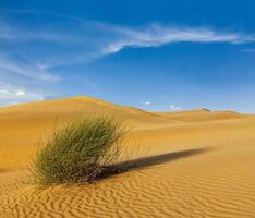 Dünen der Wüste, Rajasthan, Indien foto