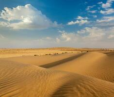 Dünen der Wüste, Rajasthan, Indien foto