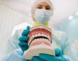 ein Modell- von ein Mensch Kiefer mit Zähne und ein Zahnbürste im das Zahnarzt Hand foto