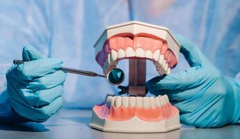 ein Dental Arzt tragen Blau Handschuhe und ein Maske hält ein Dental Modell- von das Oberer, höher und niedriger Kiefer und ein Dental Spiegel foto