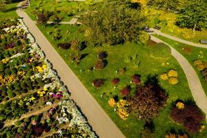 oben Aussicht von das Herbst Minsk botanisch Garten. Weißrussland foto