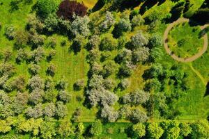 oben Aussicht von das Frühling Minsk botanisch Garten. Weißrussland foto