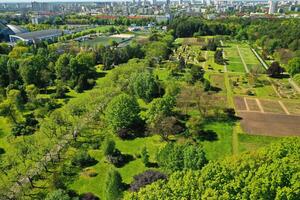 oben Aussicht von das Frühling Minsk botanisch Garten. Weißrussland foto