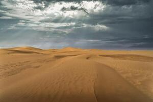 ein Panorama- Sand Düne von Sahara Wüste beim mhamid el Abonnieren im Marokko breit Schuss foto