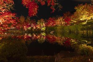 ein beleuchtet rot Blätter reflektieren auf das Wasser beim das traditionell Garten foto