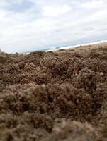 Foto von Strand Sand und Himmel