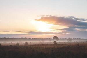 Orange Morgen Sonne leuchtet ein sandig Pfad und ein Landschaft verhüllt im Nebel durch das Grenzpark Abonnieren heide in der Nähe von Antwerpen im Nordwest Belgien foto