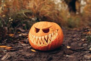 Halloween Kürbislaterne mit antropomorph lächelnd Gesicht auf Herbst Blätter draussen foto