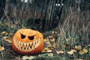 Halloween Kürbislaterne mit antropomorph lächelnd Gesicht auf Herbst Blätter draussen foto