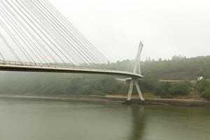 Aussicht von ein Schrägseil Brücke pont de Abonnieren im Frankreich auf ein sonnig Sommer- Morgen foto