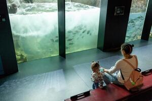 Brest, Frankreich 31 kann 2018 Mama und seine wenig Tochter sind suchen beim Meer Fisch und Tiere im das Aquarium von das Ozeanopolis foto