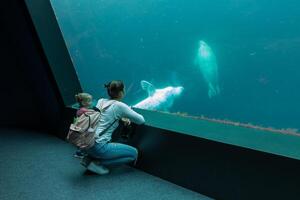 Brest, Frankreich 31 kann 2018 Mama und seine wenig Tochter sind suchen beim Meer Fisch und Tiere im das Aquarium von das Ozeanopolis foto