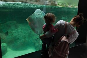 Brest, Frankreich 31 kann 2018 Mama und seine wenig Tochter sind suchen beim Meer Fisch und Tiere im das Aquarium von das Ozeanopolis foto