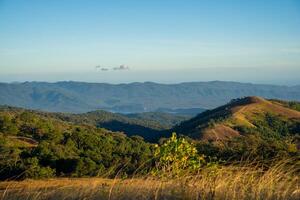 ta nang - - Phan Dung Route mit Meilenstein zwischen 3 Provinzen durch Gras Hügel und Wälder im Lied mao Natur Reservieren foto