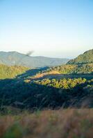 ta nang - - Phan Dung Route mit Meilenstein zwischen 3 Provinzen durch Gras Hügel und Wälder im Lied mao Natur Reservieren foto