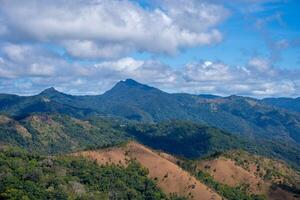 ta nang - - Phan Dung Route mit Meilenstein zwischen 3 Provinzen durch Gras Hügel und Wälder im Lied mao Natur Reservieren foto