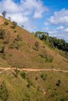 ta nang - - Phan Dung Route mit Meilenstein zwischen 3 Provinzen durch Gras Hügel und Wälder im Lied mao Natur Reservieren foto