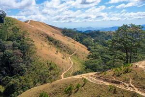 ta nang - - Phan Dung Route mit Meilenstein zwischen 3 Provinzen durch Gras Hügel und Wälder im Lied mao Natur Reservieren foto