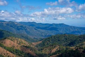 ta nang - - Phan Dung Route mit Meilenstein zwischen 3 Provinzen durch Gras Hügel und Wälder im Lied mao Natur Reservieren foto