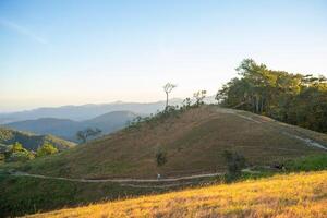 ta nang - - Phan Dung Route mit Meilenstein zwischen 3 Provinzen durch Gras Hügel und Wälder im Lied mao Natur Reservieren foto