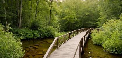 ai generiert hölzern Brücke im das Wald, schön Sommer Brücke und See im natürlich hölzern Pfad Panorama Bild foto