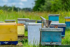 draussen Ernte Honigwaben. Bienenzucht natürlich Sommer- hölzern Waben. foto