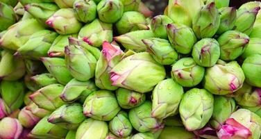 ein Bündel von Lotus im Howra Blume Markt zum Verkauf foto