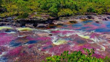 Kanu Kristalle ist ein Fluss im Kolumbien Das ist gelegen im das Sierra de la Macarena, im das Abteilung von Meta. es ist berücksichtigt durch viele wie das die meisten schön Fluss im das Welt foto