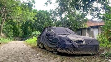 ein alt Auto bedeckt im ein Startseite verlassen auf das Seite von das Straße in der Nähe von das Wald foto