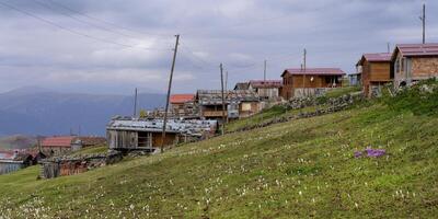 Berg Dorf auf das karester yalas Plateau, Trabzon, Truthahn foto