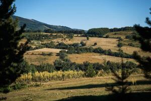 ein Feld auf das Hügel in der Nähe von kruschewo foto