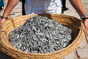 trocken Fisch im das Markt im Tunesien foto