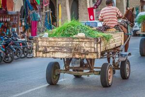 Pferd und ein Wagen auf ein Straße im Tozeur, Tunesien foto