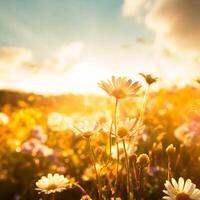 ai generiert Foto von ein Blume Feld mit ein Sonnenstrahlen gefüllt Himmel