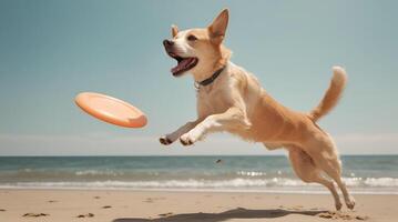 ai generiert ein Hund fangen ein Frisbeescheibe in der Luft beim ein hundefreundlich Strand, Erfassen das spielerisch Energie von ein Sommer- Tag. ai generativ foto