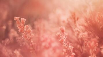 ai generiert zärtlich Blumen - - Frühling Sommer- Blumen- Hintergrund mit Bokeh bewirken foto