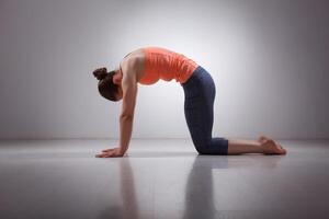 schön sportlich passen Yoga Frau Praktiken Methoden Ausübungen Yoga Asana marjarias foto
