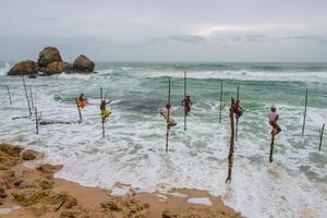 koggala - - sri Lanka - - 09. August 2019 - - Gruppe von lokal Fischer tun Stelze Angeln auf das Strand. das Fischer sitzen auf ein Kreuz Bar und wartet bis um ein Fisch kommt entlang zu Sein erwischt. foto