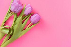 Rosa Tulpen auf das Rosa Hintergrund. eben legen, oben Sicht. Valentinsgrüße Hintergrund. horizontal,, getönt foto