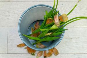 ein Strauß von Blumen im das Müll dürfen. Frau wirft aus ein Strauß von Blumen. umkehren Geschwindigkeit. Ökologie und Recycling von Müll von verschiedene roh Materialien foto