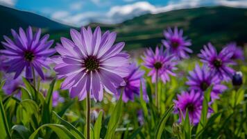 ai generiert charmant lila Blau Blume häufig wachsend im Wiesen foto
