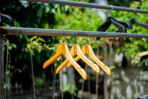 hölzern Kleider Aufhänger mit ein natürlich belaubt Hintergrund im das Garten foto