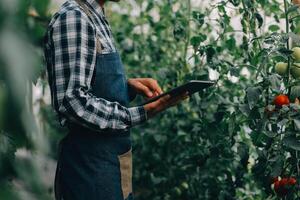 organisch Bauernhof ,Arbeiter testen und sammeln Umgebung Daten von bok Choy organisch Gemüse beim Gewächshaus Bauernhof Garten. foto