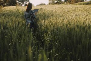 Clever Bauernhof. Farmer mit Tablette im das Feld. Landwirtschaft, Gartenarbeit oder Ökologie Konzept. Ernte. Agro Geschäft. foto